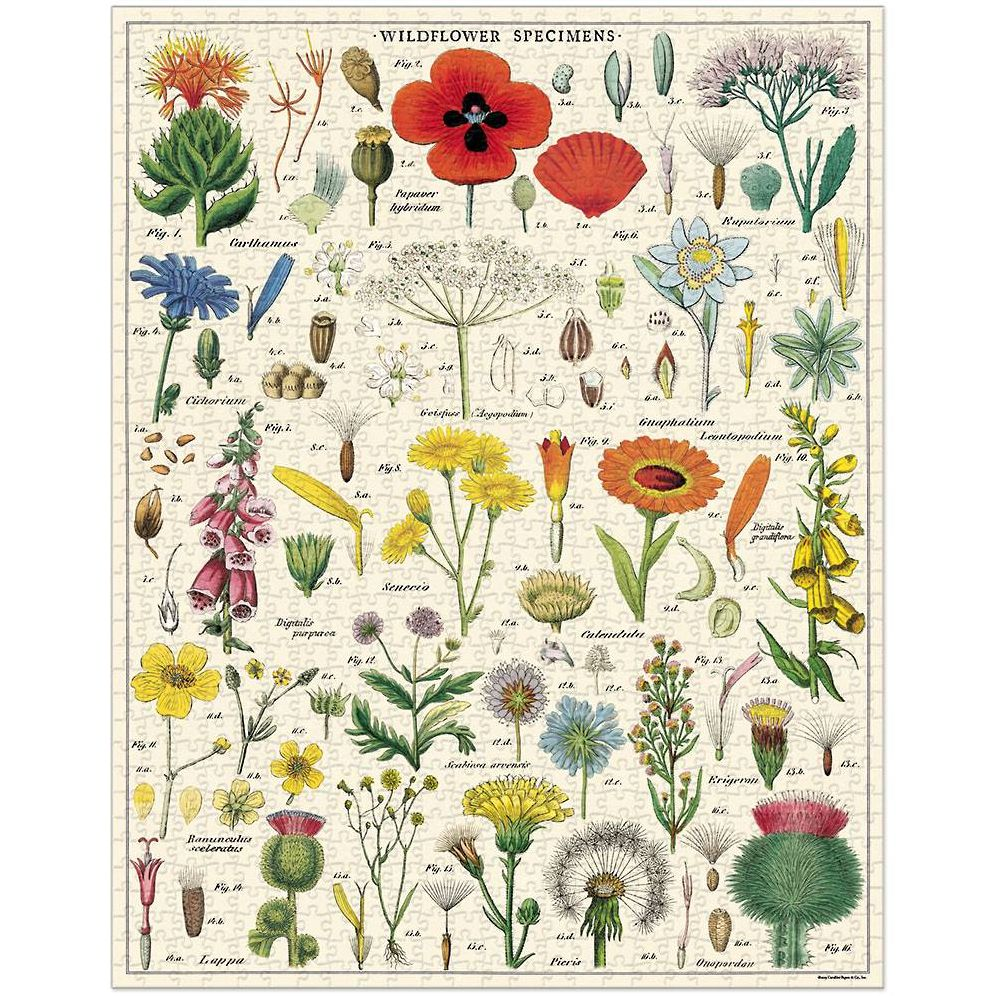 Cavallini & Co - Wildflowers 1,000 Piece Jigsaw Puzzle - Image 6