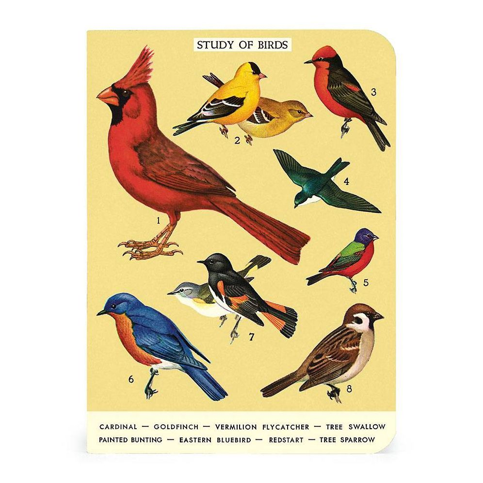 Cavallini & Co. Bird Watching Mini Notebooks - Image 6