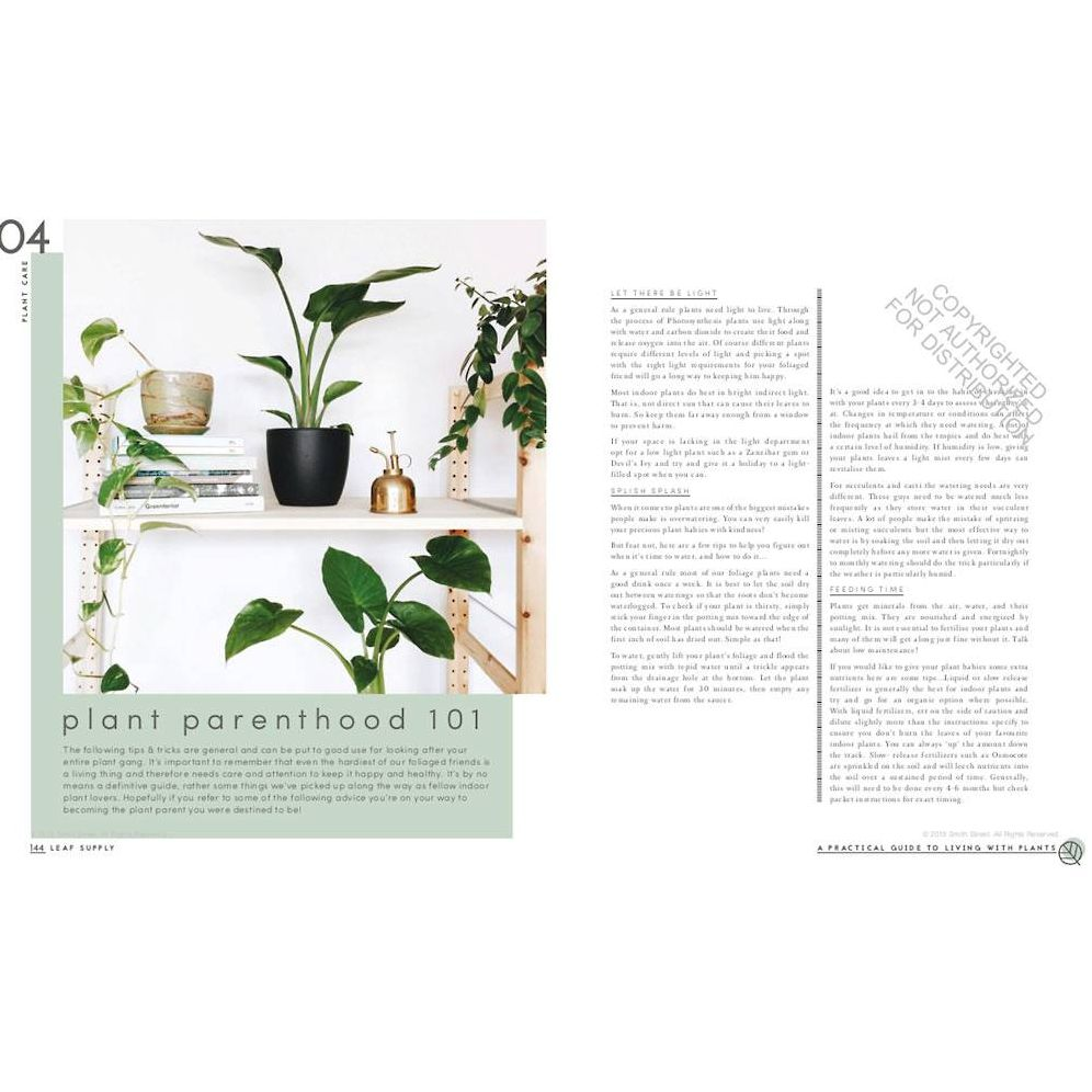 Leaf Supply: A Guide to Keeping Happy House Plants - Image 2
