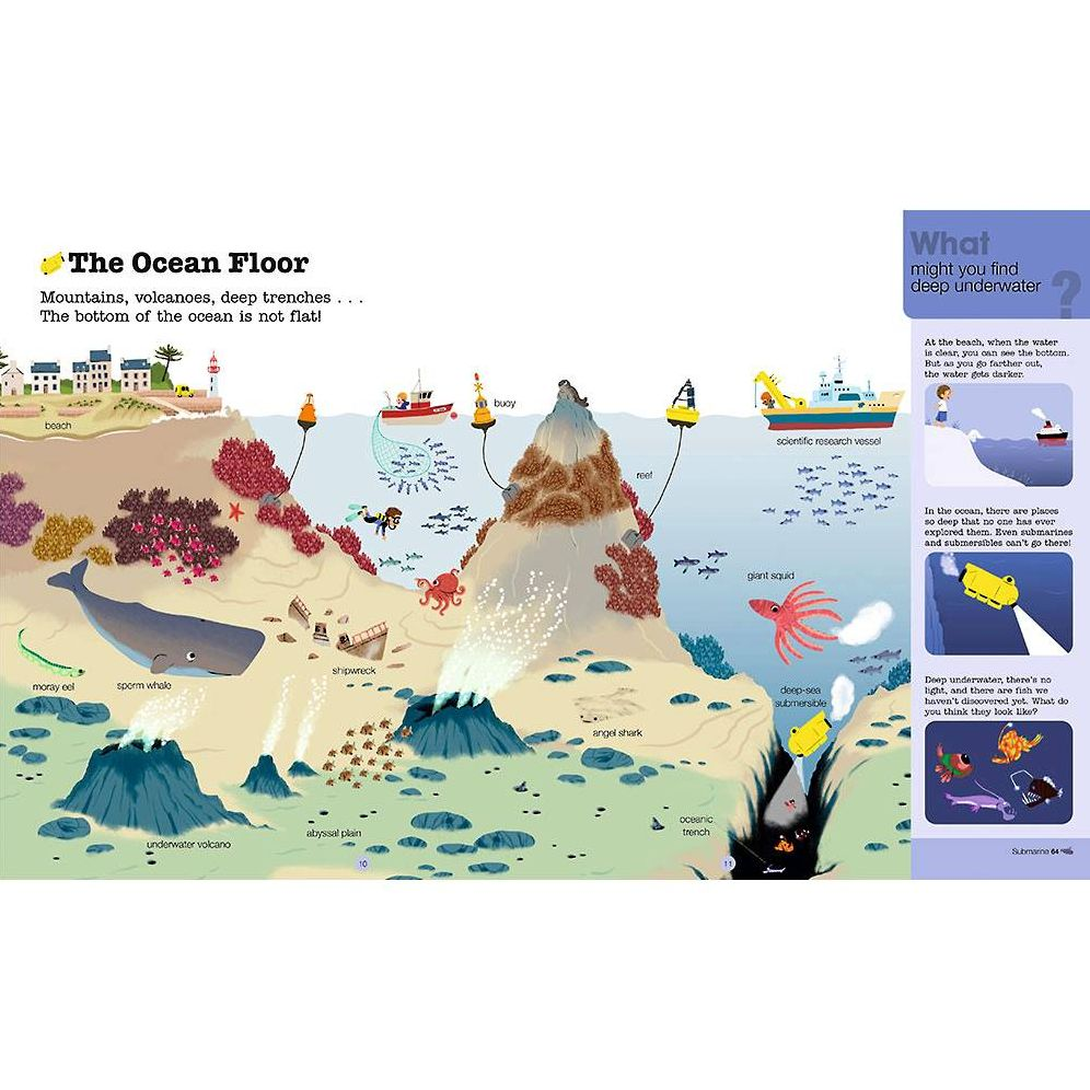 Do You Know?: Oceans and Marine Life - Image 3