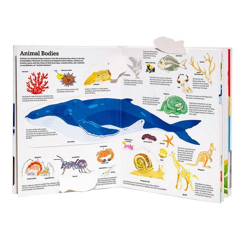 The Ultimate Book of Animals - Image 2