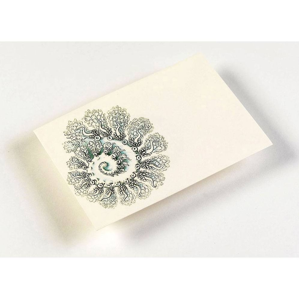 Art Forms in Nature Letter Writing Set - Image 4