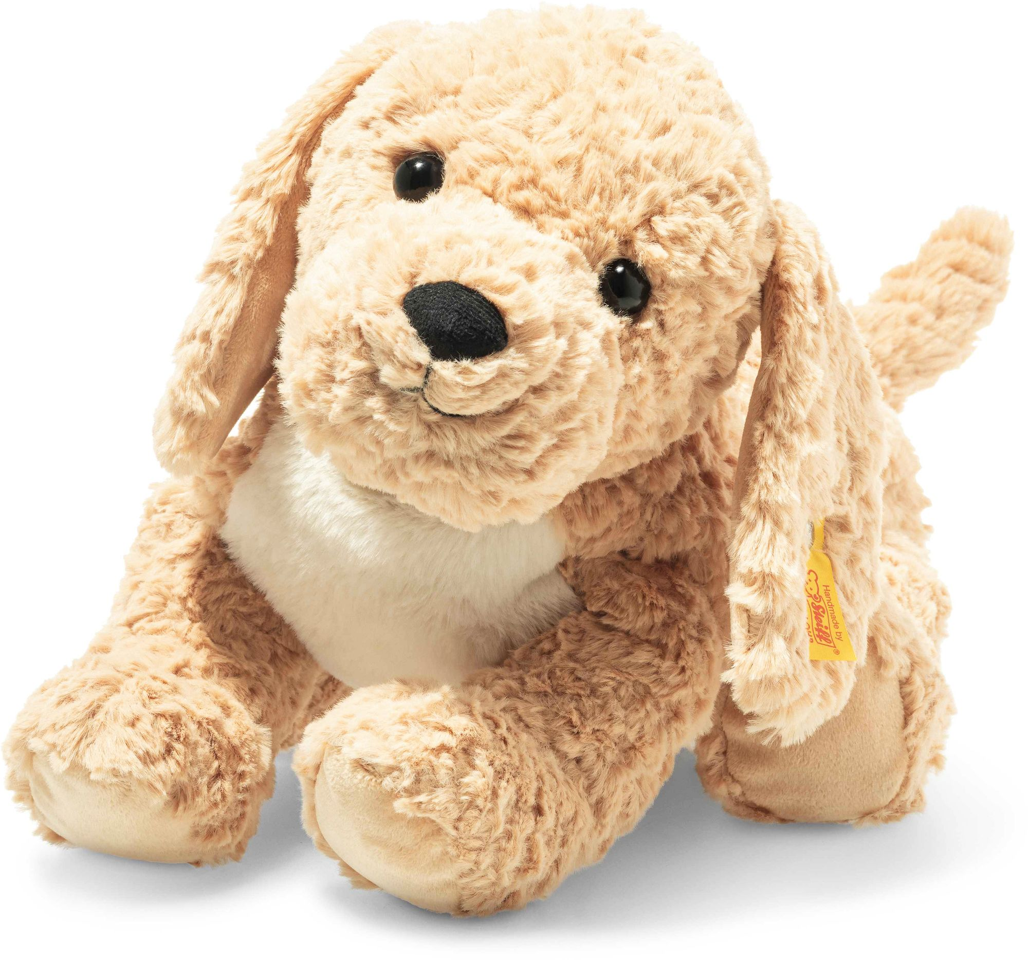 Berno Golden Doodle