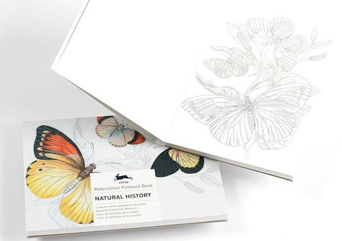 Natural History - Watercolour Postcard Book - Image 2