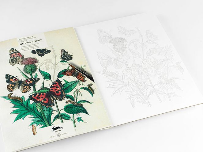 Alternative view of Natural History - Artists' Colouring Book