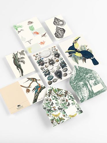 Natural History - Correspondence Set - Image 3