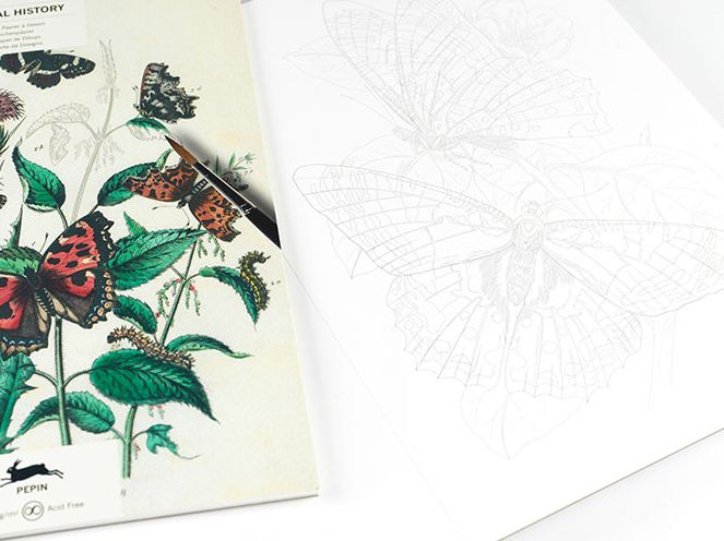 Natural History - Artists' Colouring Book - Image 3