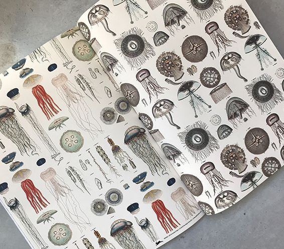 Marine - Gift & Creative Paper Book - Image 3