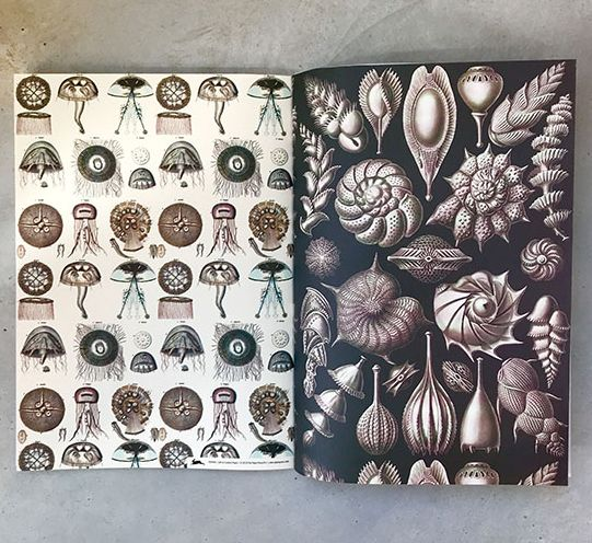 Marine - Gift & Creative Paper Book - Image 4