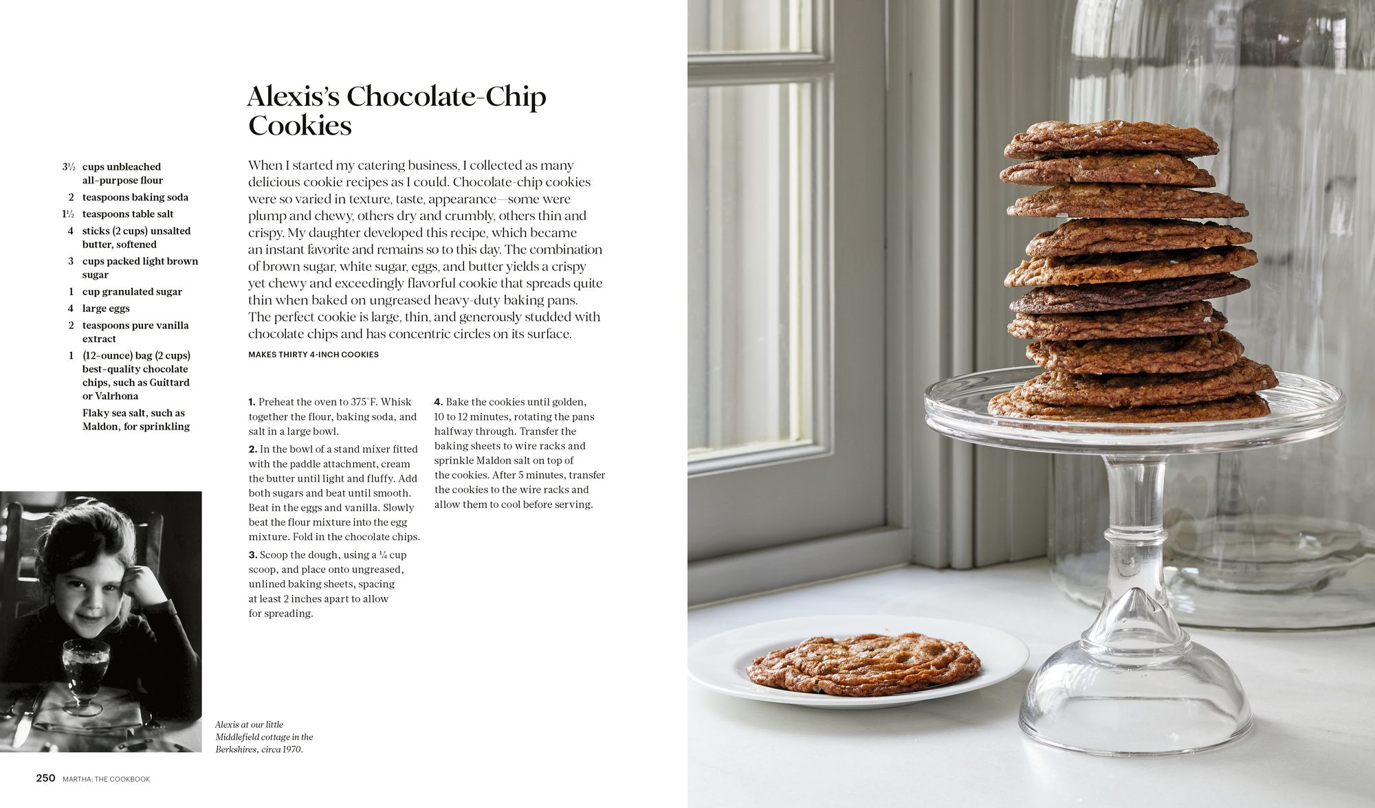 Martha: The Cookbook: 100 Favorite Recipes, with Lessons and Stories from My Kitchen - Image 9