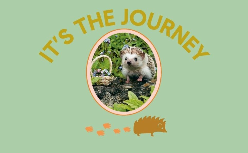 Every Little Thing Quill Be All Right: Hedgehugs and Happiness for When Life Feels Prickly: Positive Affirmations - Image 2
