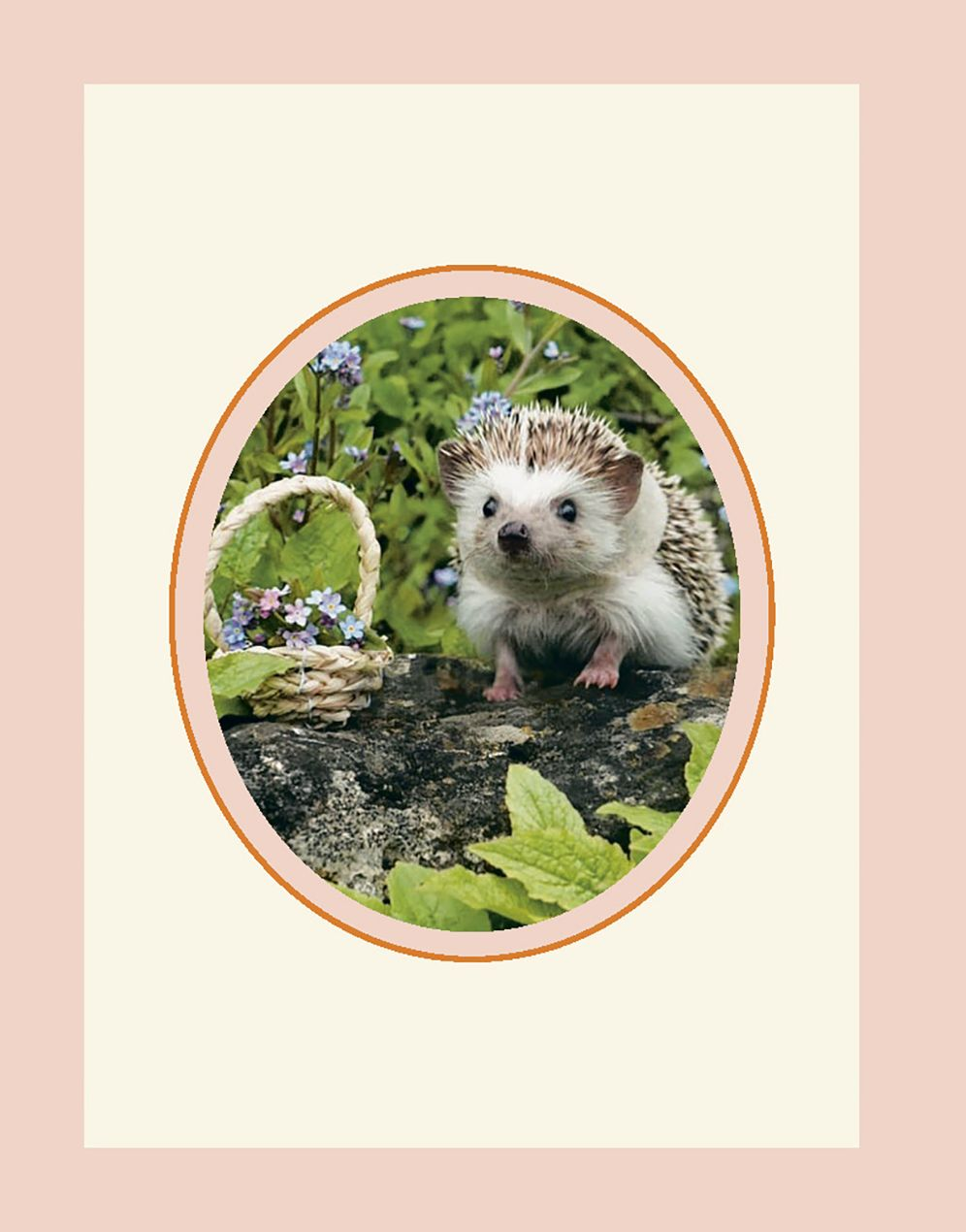 Every Little Thing Quill Be All Right: Hedgehugs and Happiness for When Life Feels Prickly: Positive Affirmations - Image 4