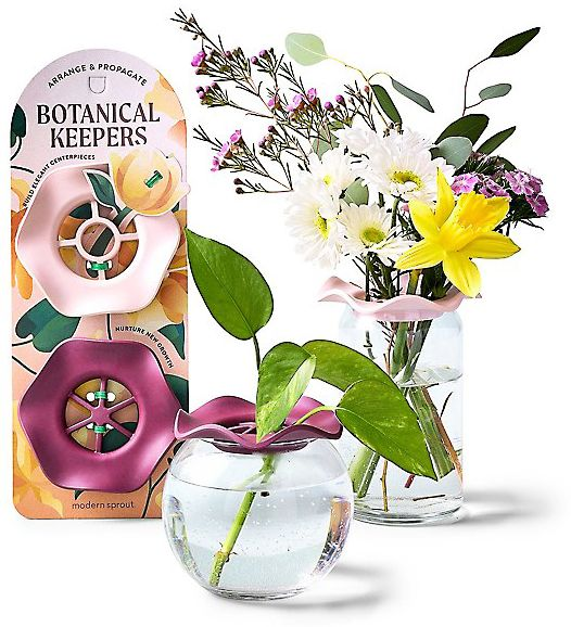 Alternative view of Botanical Keepers