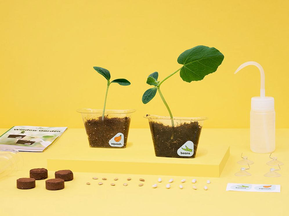 Window Garden - Image 2