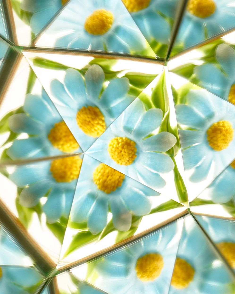 Nature Kaleidoscope Set - Image 2