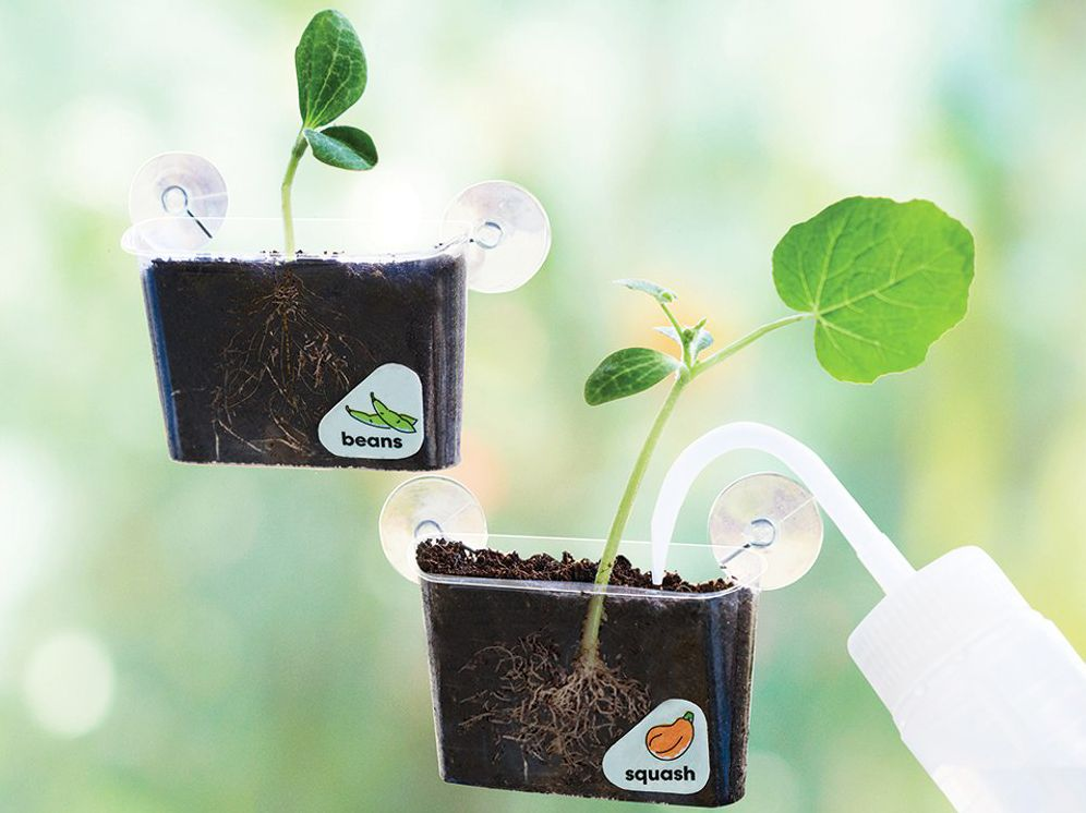 Window Garden - Image 4