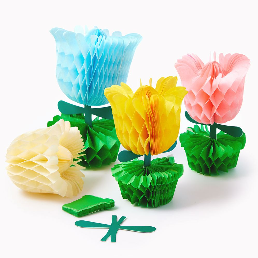 Alternative view of Honeycomb Tulips S/8