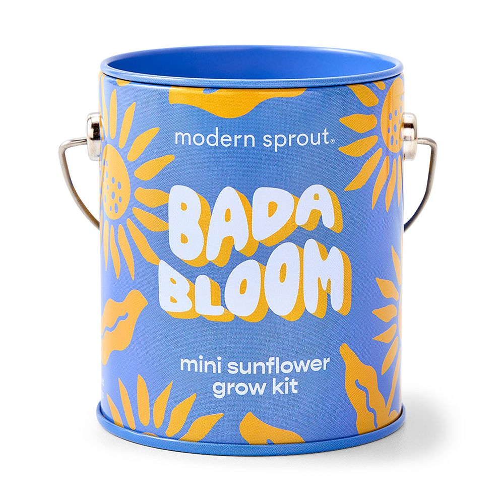 Alternative view of Complimentary Color Grow Kit - Sunflower