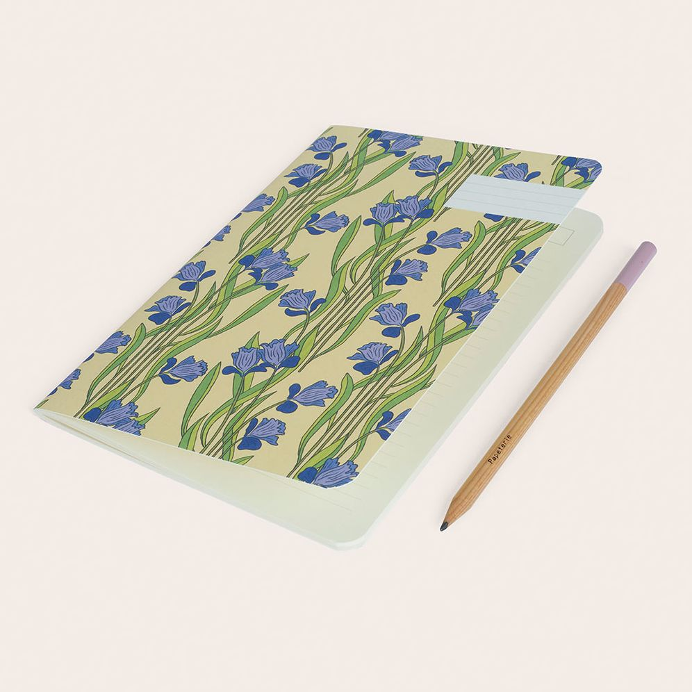 Alternative view of Narcisses Notebook