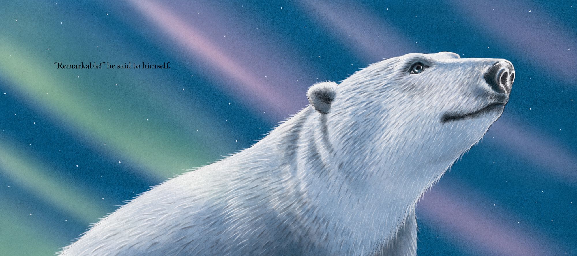 Dasher and the Polar Bear - Image 3