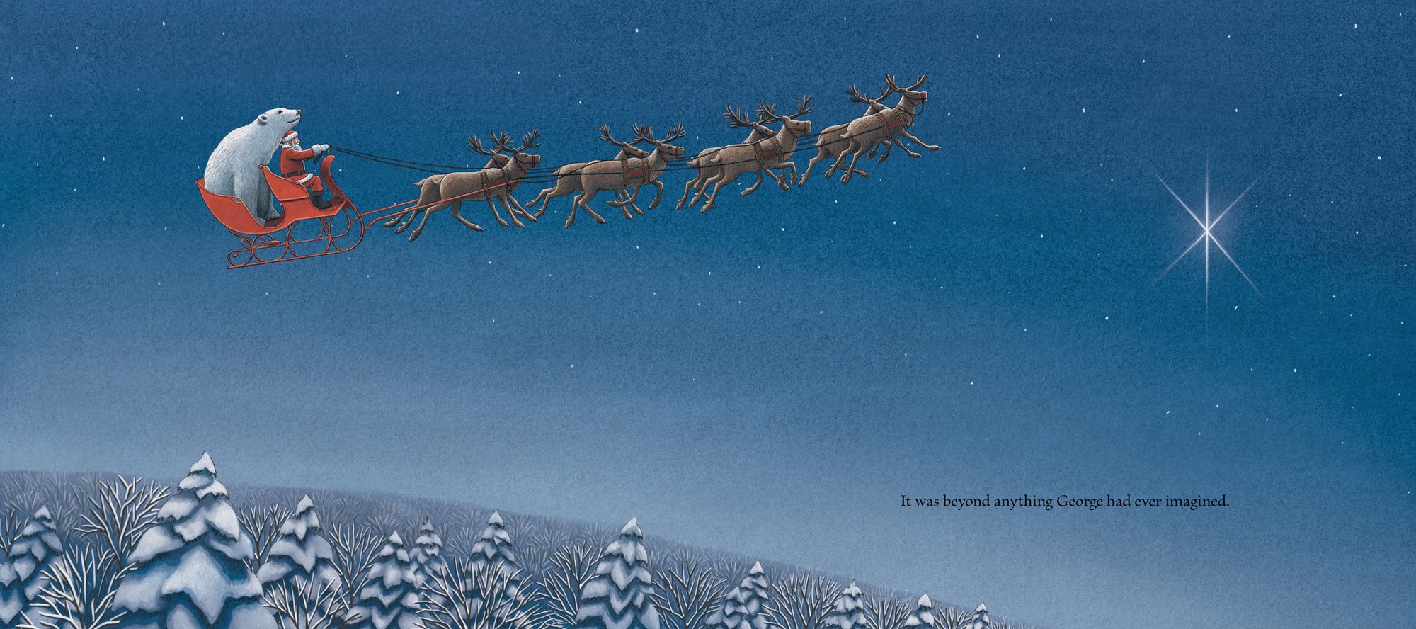 Dasher and the Polar Bear - Image 4
