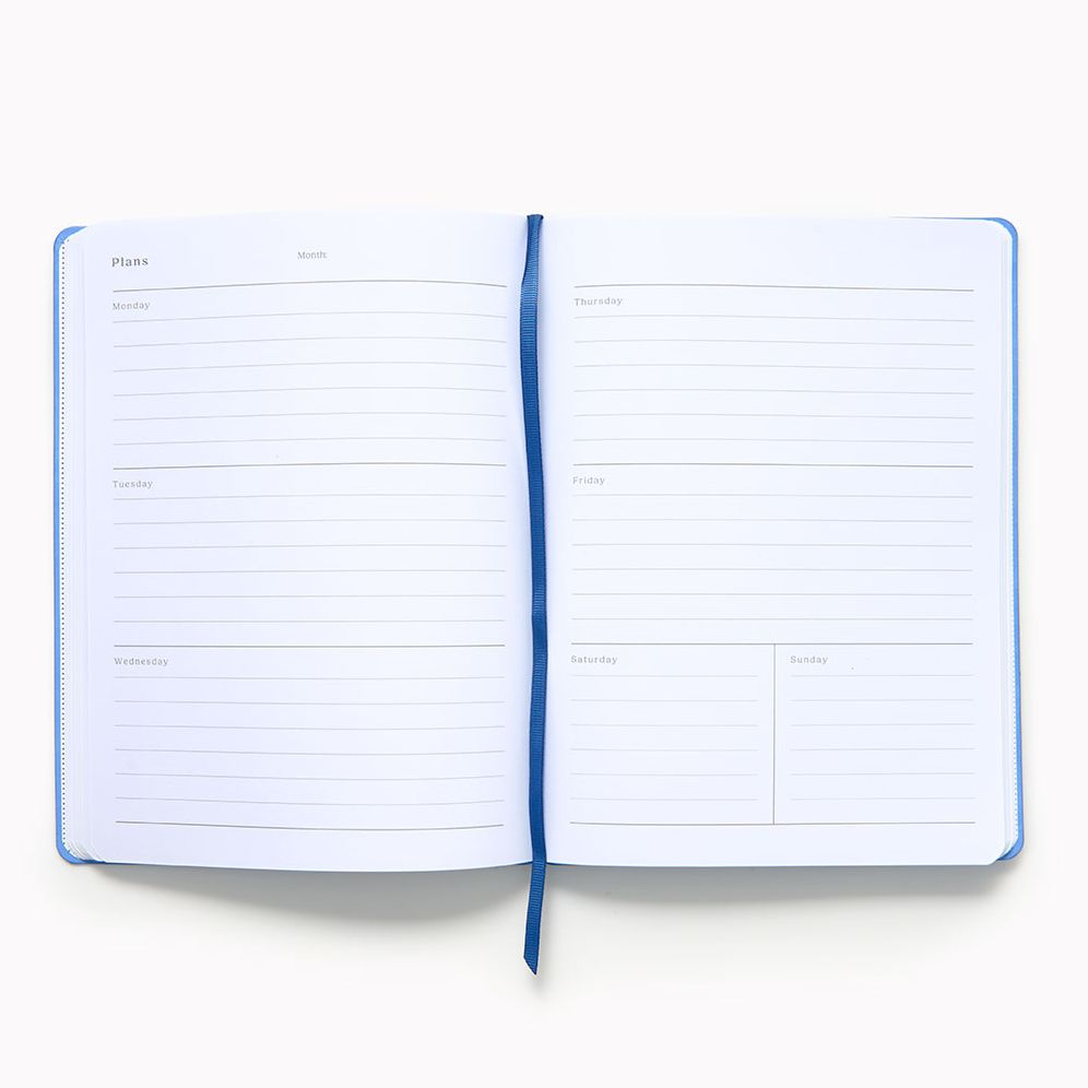 Periwinkle Paper Wasp Undated Planner LG - Image 3