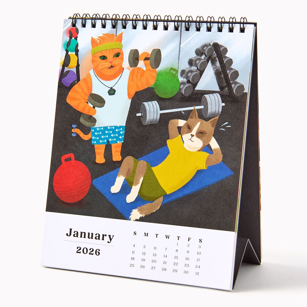 2026 Paper Source Catitude Desk Easel Calendar - Image 3