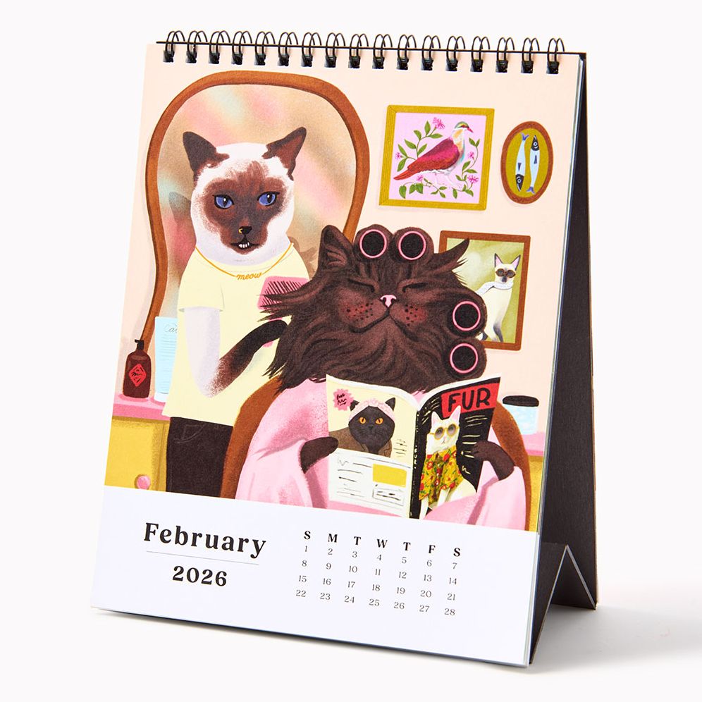 Alternative view of 2026 Paper Source Catitude Desk Easel Calendar