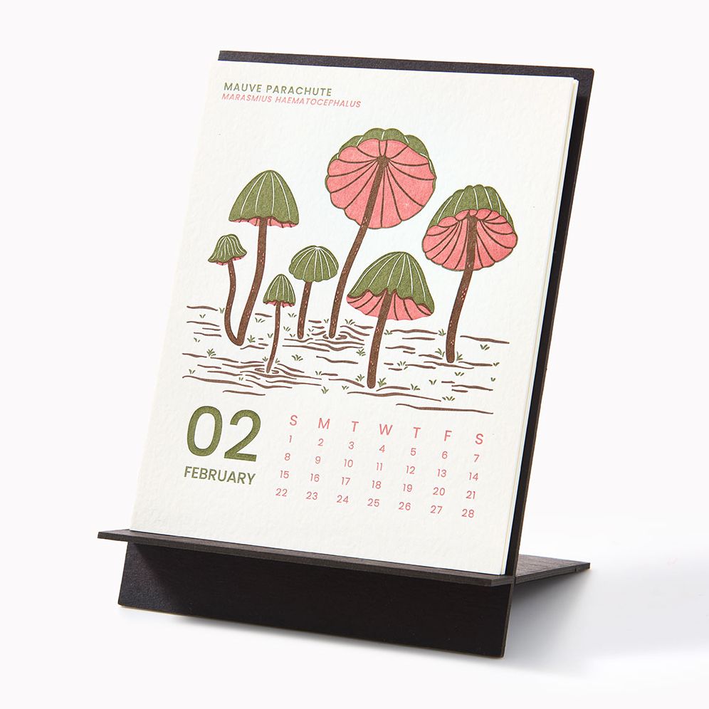 2026 Paper Source Mushroom Letterpress Desk Easel Calendar - Image 3