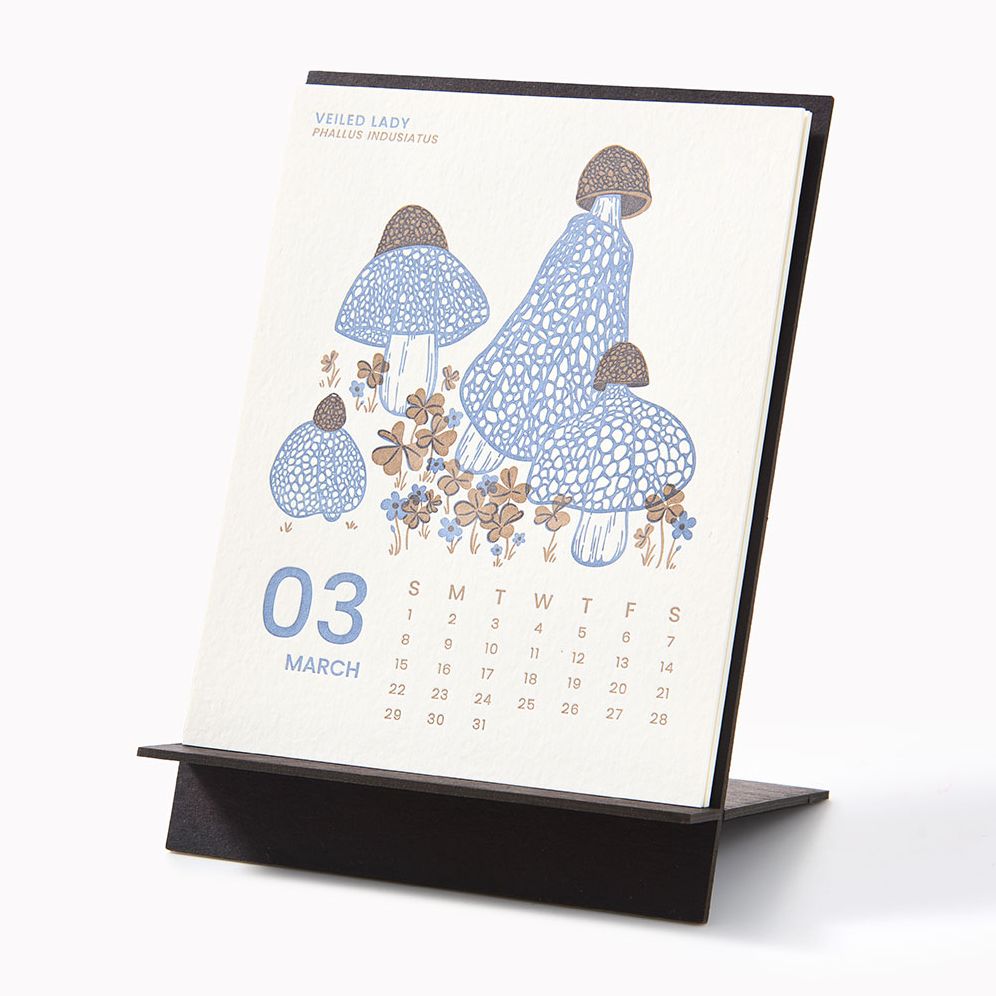 2026 Paper Source Mushroom Letterpress Desk Easel Calendar - Image 4
