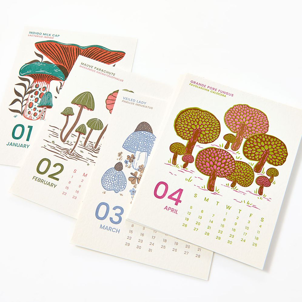 2026 Paper Source Mushroom Letterpress Desk Easel Calendar - Image 5
