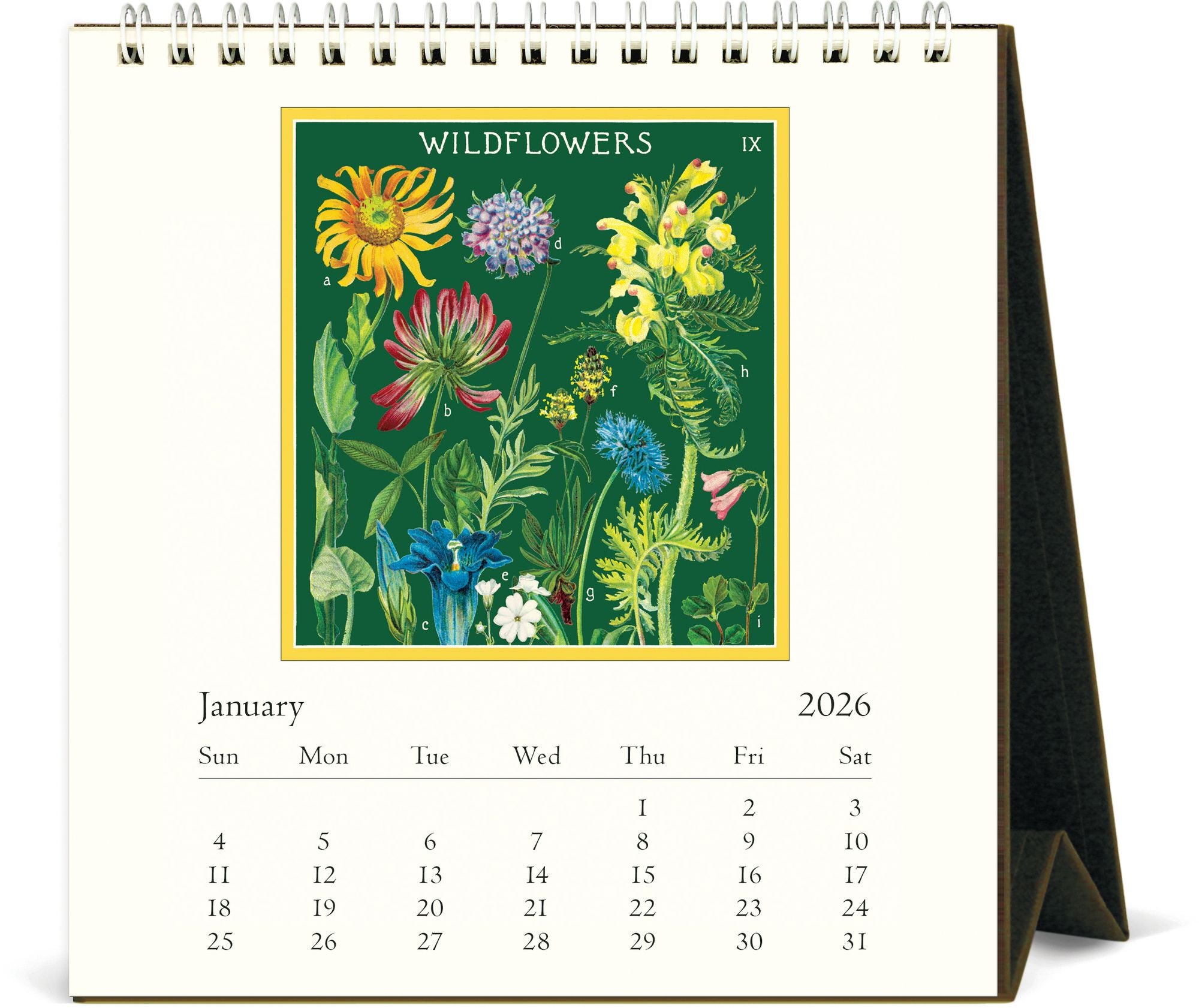 Alternative view of 2026 Cavallini Wildflowers Desk Calendar