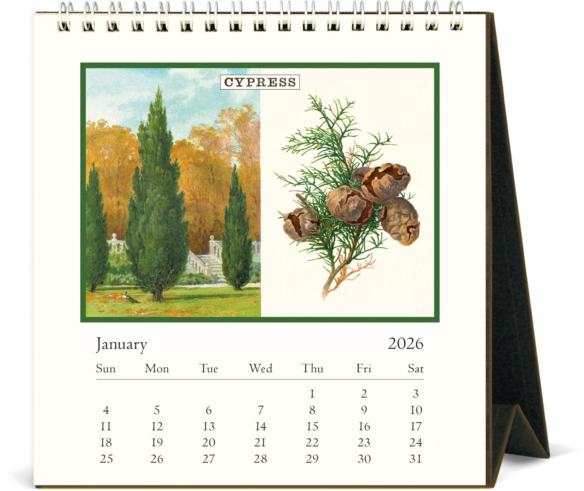 Alternative view of 2026 Cavallini Arboretum Desk Calendar
