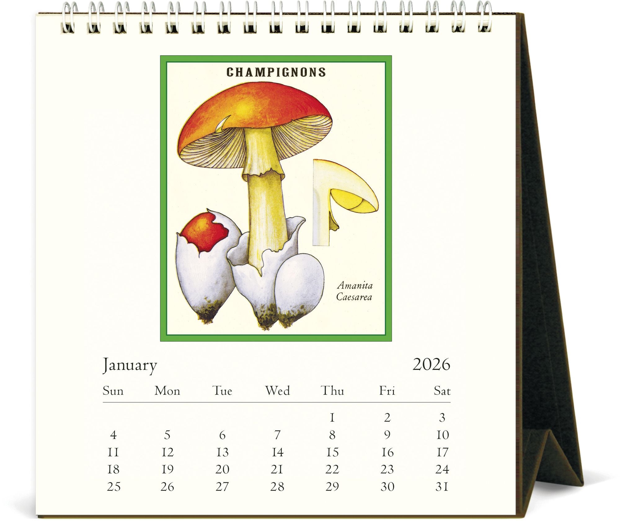 Alternative view of 2026 Foraging Desk Calendar