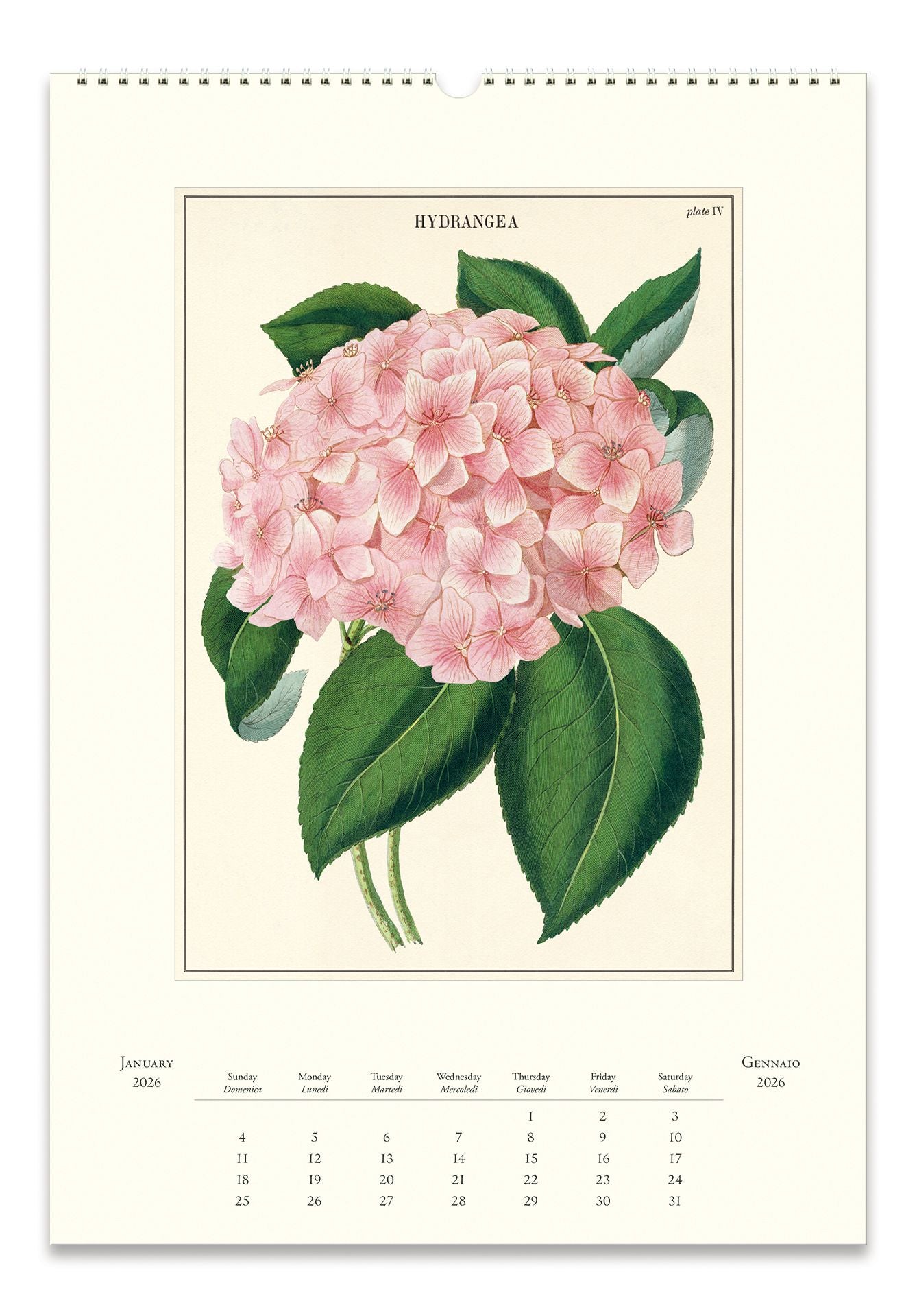 Alternative view of 2026 Cavallini Botanica Wall Calendar