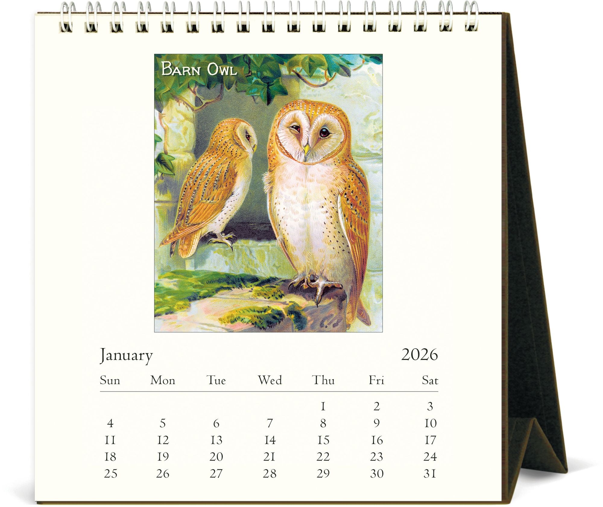 Alternative view of 2026 Cavallini Owls Desk Calendar