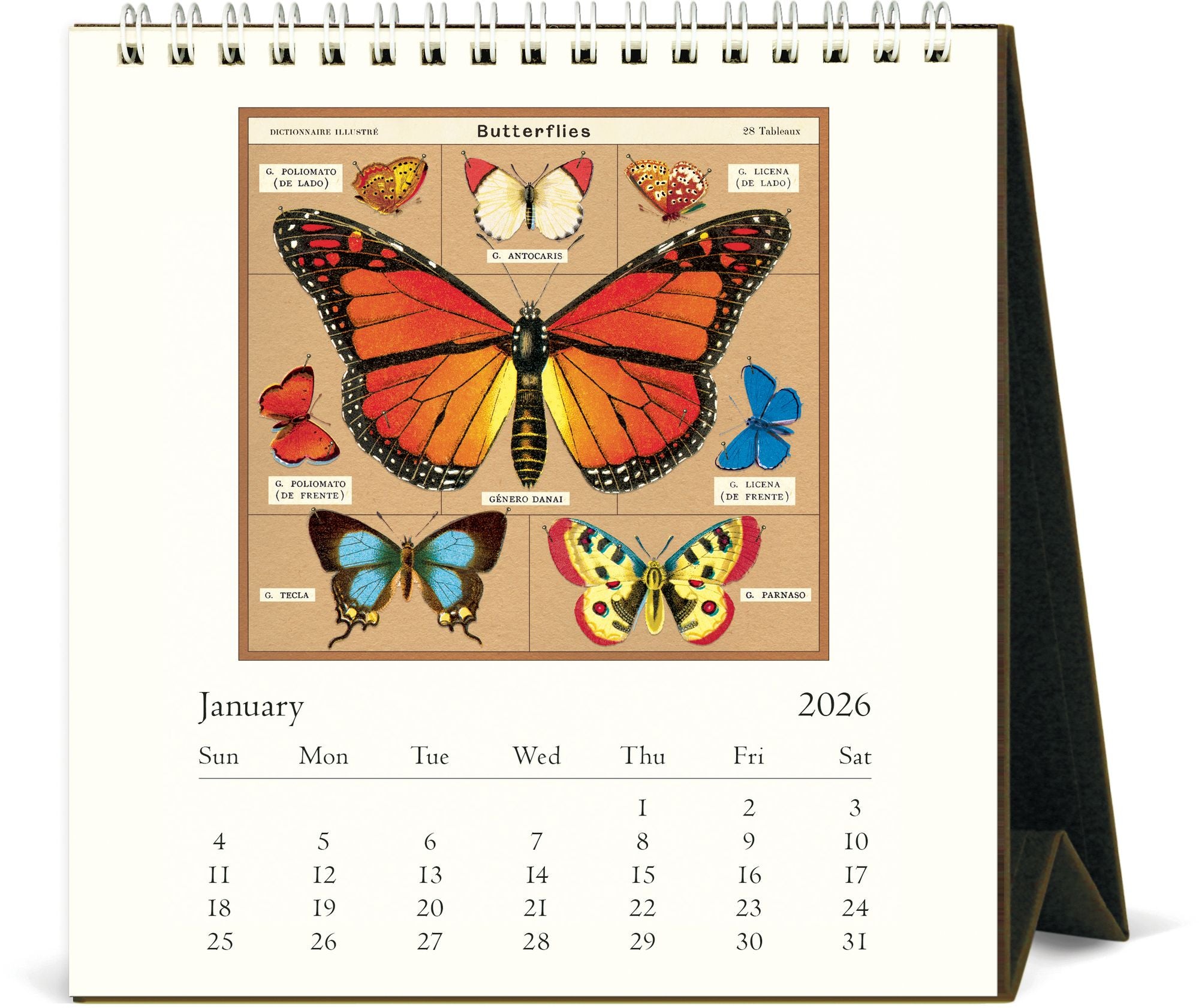 Alternative view of 2026 Cavallini Butterflies Desk Calendar