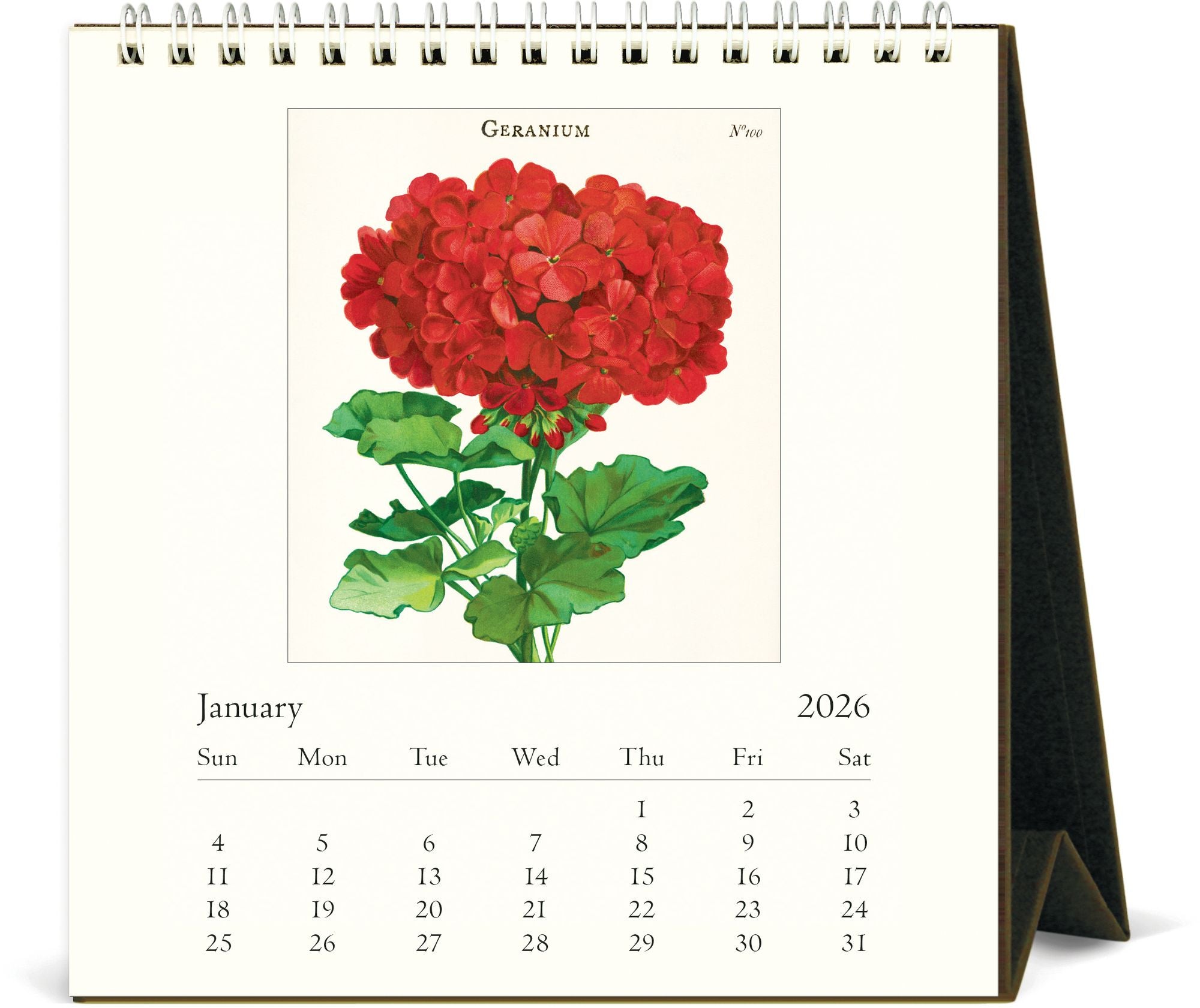 Alternative view of 2026 Cavallini Botanica Desk Calendar
