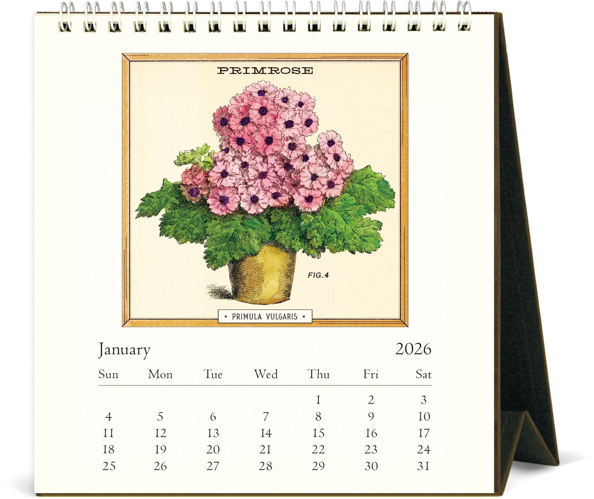 Alternative view of 2026 Cavallini Jardiniere Desk Calendar