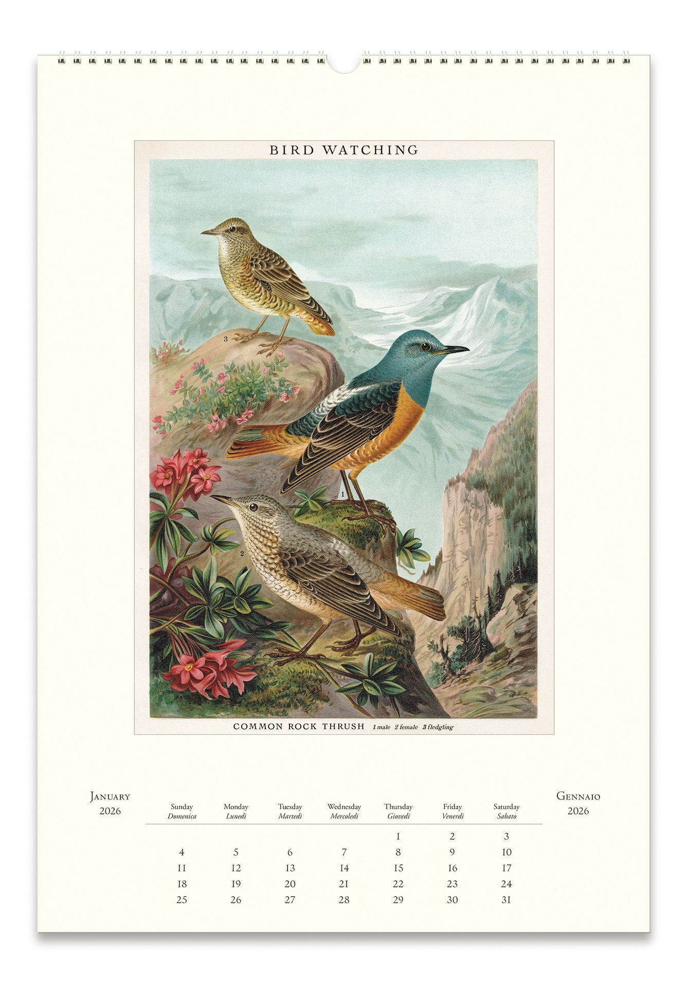 Alternative view of 2026 Bird Watching Wall Calendar