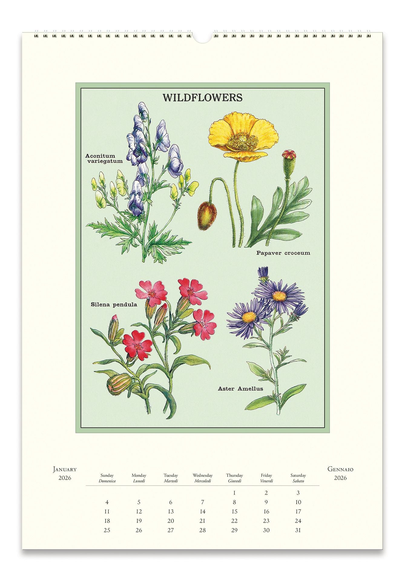 Alternative view of 2026 Cavallini Wildflowers Wall Calendar