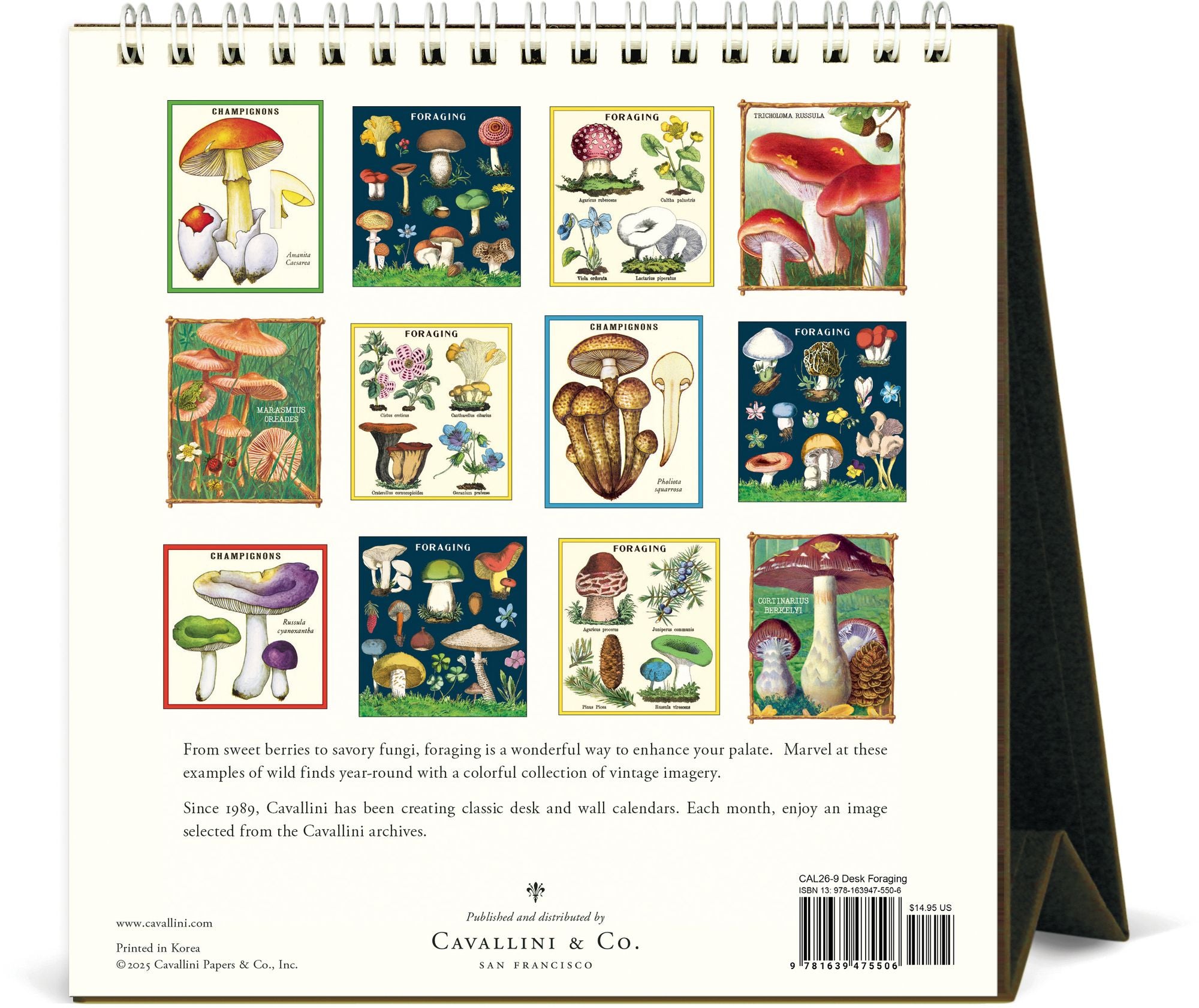 2026 Foraging Desk Calendar - Image 3