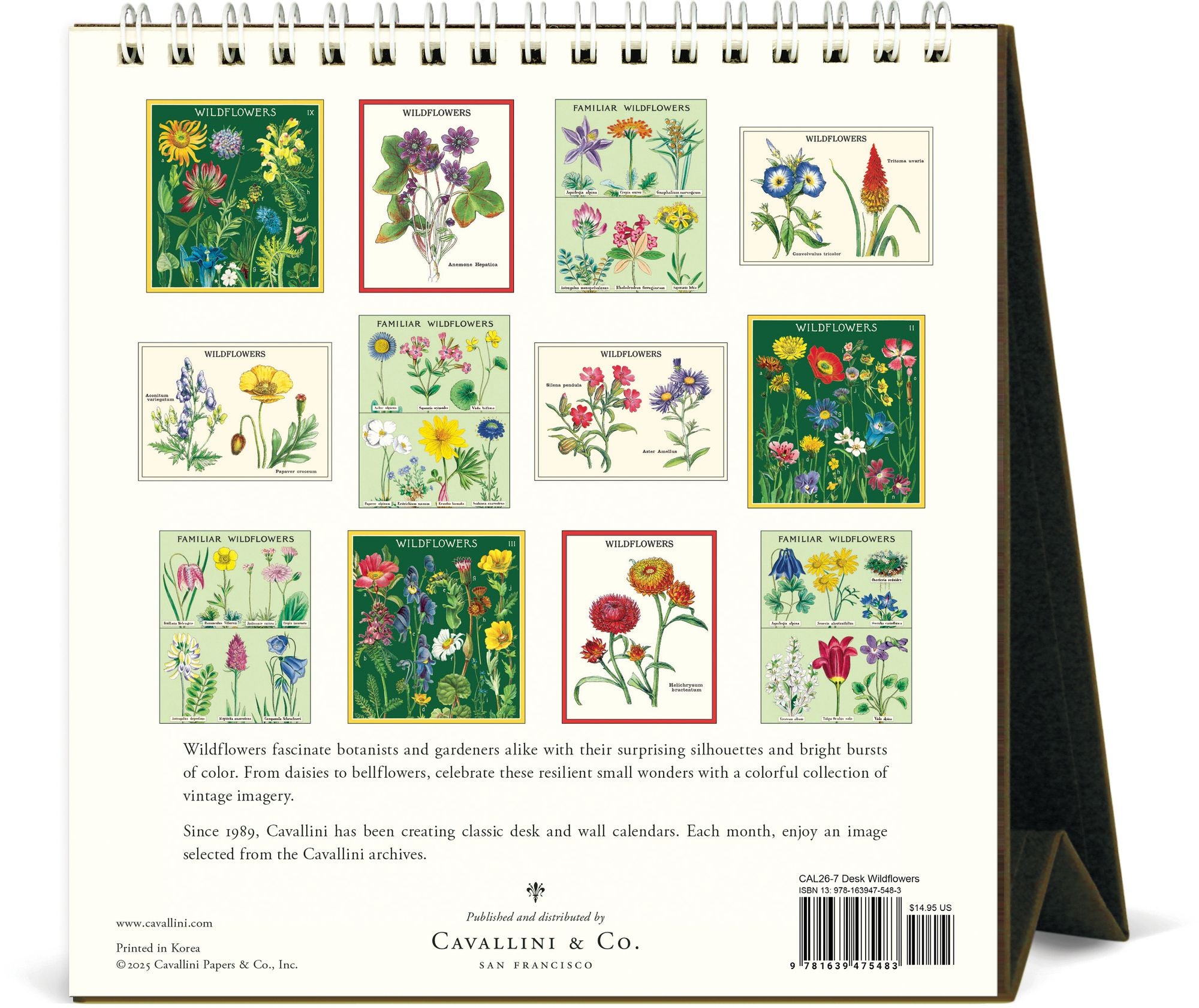 2026 Cavallini Wildflowers Desk Calendar - Image 3