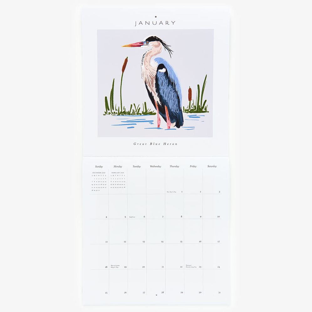 Alternative view of 2026 Paper Source Birds Calendar