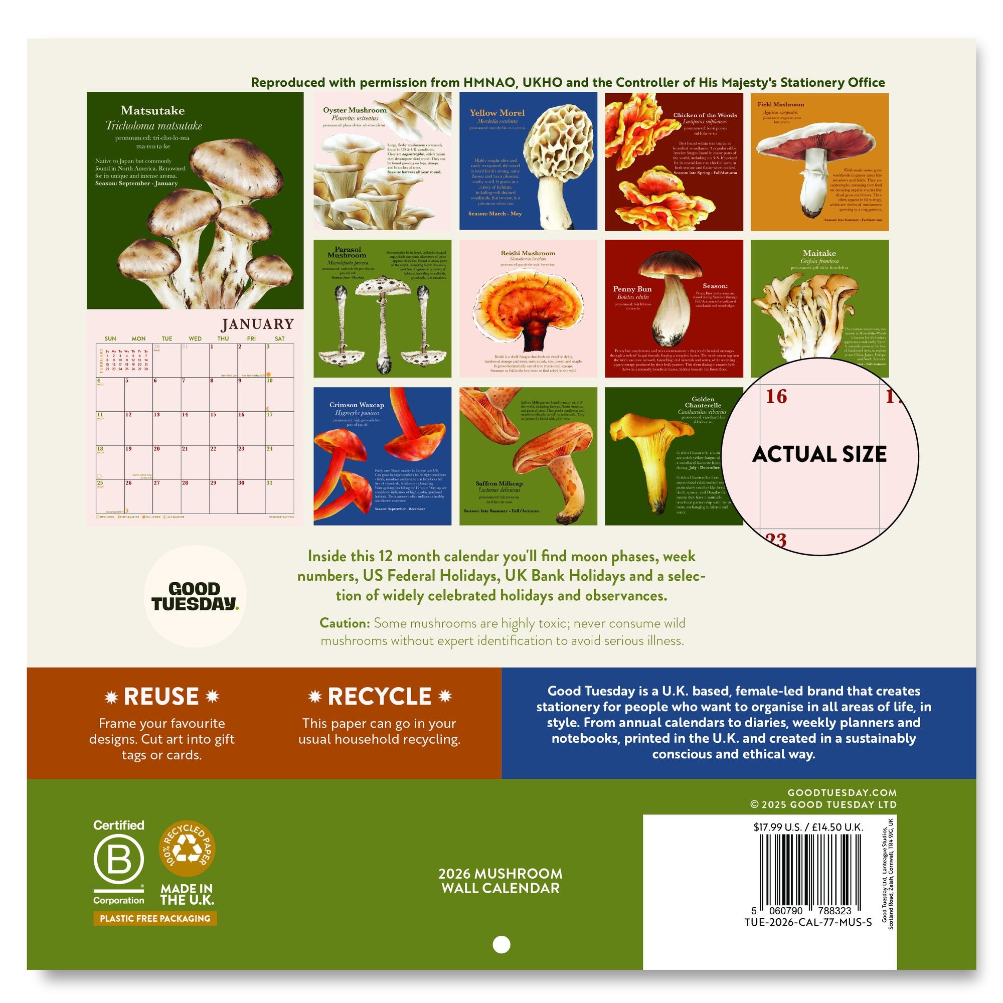 Alternative view of 2026 Mushroom Mini Grid Art Calendar