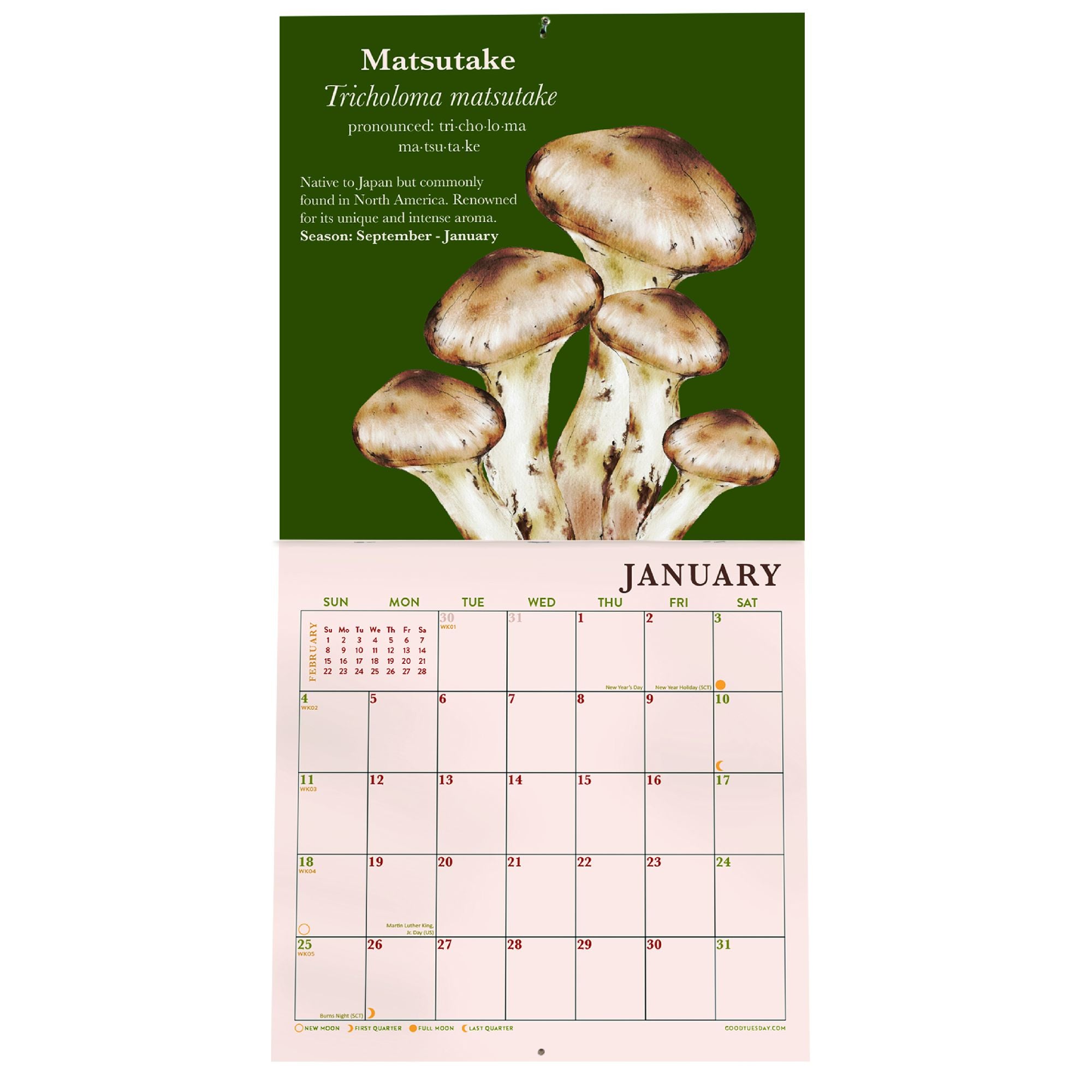 2026 Mushroom Mini Grid Art Calendar - Image 4