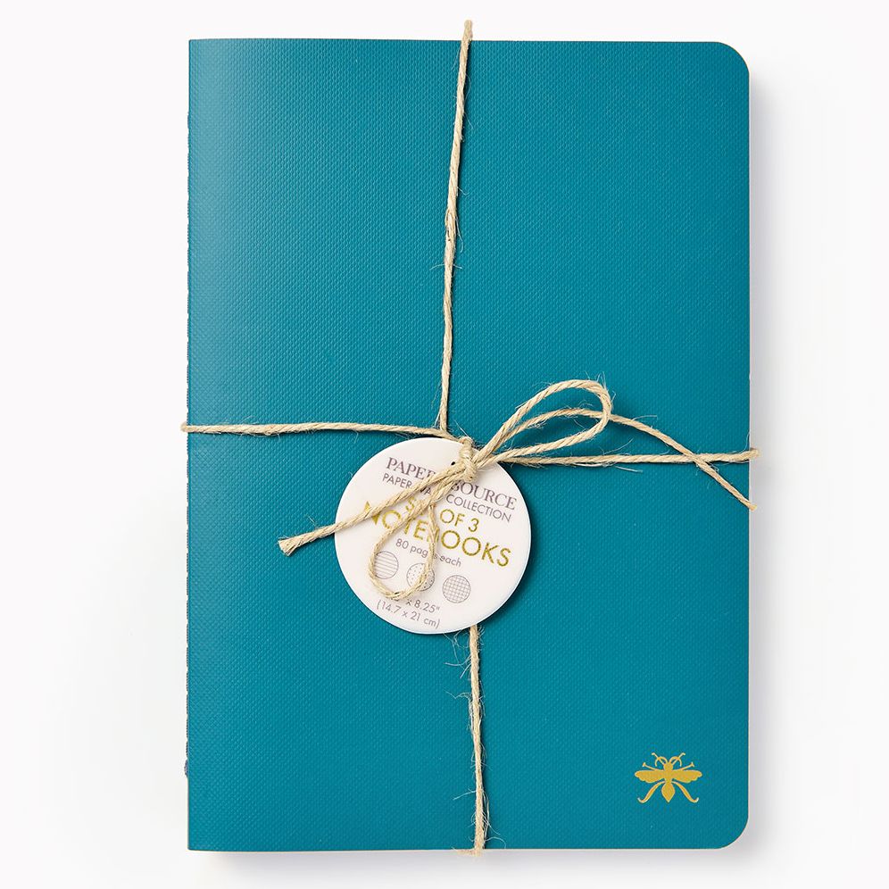 Alternative view of Teal Paper Wasp S/3 Notebooks