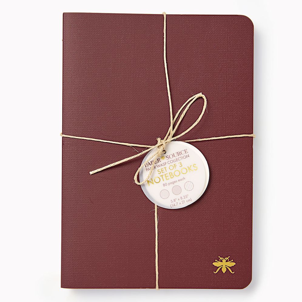 Alternative view of Chocolate Paper Wasp S/3 Notebooks