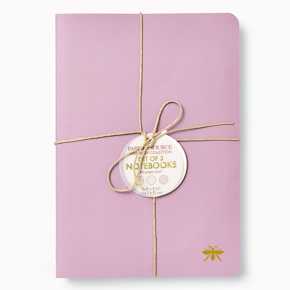 Alternative view of Wisteria Paper Wasp S/3 Notebooks