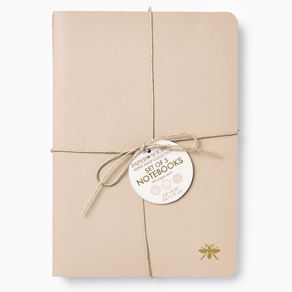 Alternative view of Sand Paper Wasp S/3 Notebooks